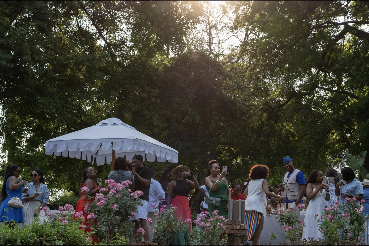 Warm evening light over a lively outdoor gathering